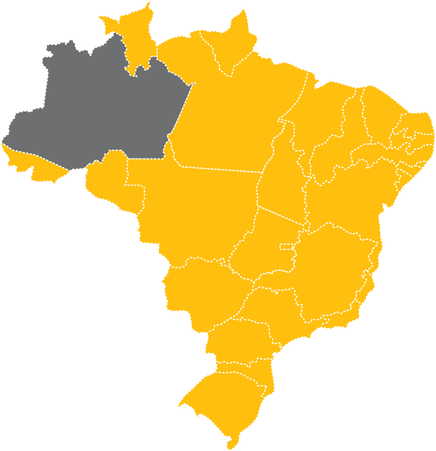 brasil 2025